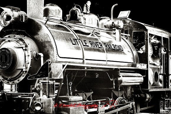 owosso_train-fest-2009_infrared-06-nik.jpg