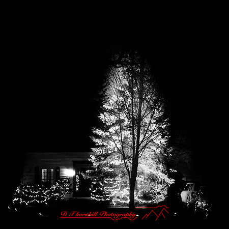 Saginaw-2019-christmas-023