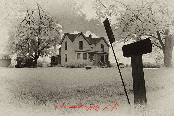infrared-2009-the_farm_14-nik.jpg