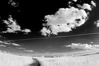 shiawasse_infrared_june-2008_04