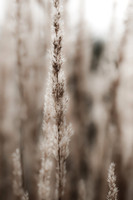 assorted_images-2011-148