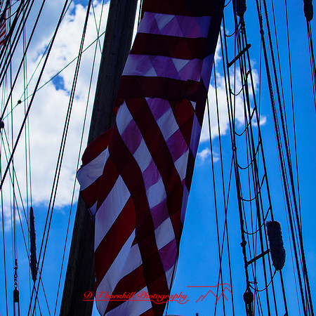 bay-city-tall-ships-2013-054