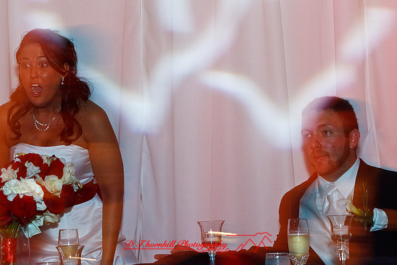 sara_will-wedding-2011-011