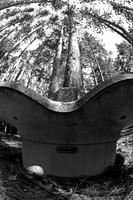 assorted_images-2007-12