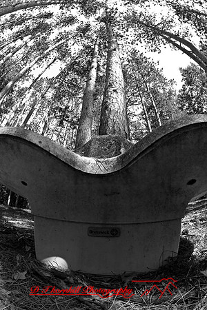 assorted_images-2007-12
