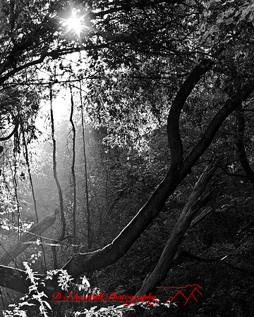 shiawassee_september_2007-05