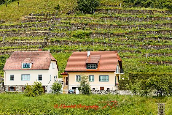 2025 - river cruise - 317_DxO