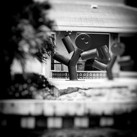 florida-march-2016-080-nas
