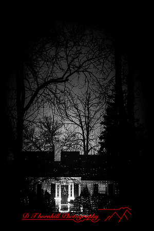 Saginaw-2019-christmas-019