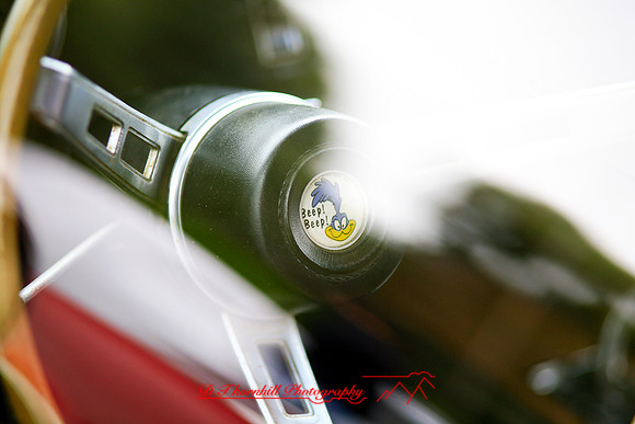 frankenmuth-auto-06_06