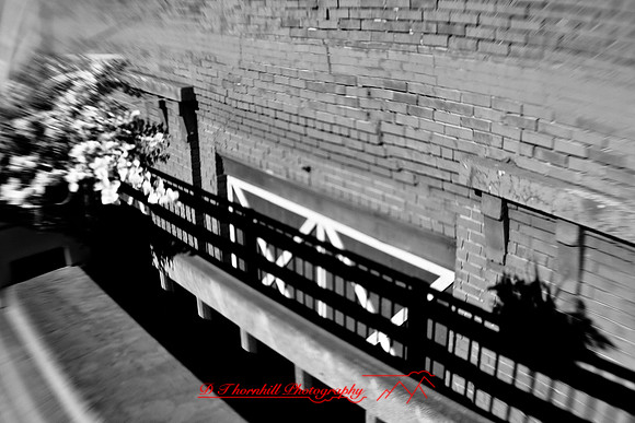 infrared-2009-random_38.jpg