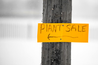 assorted_images-2009_018.jpg
