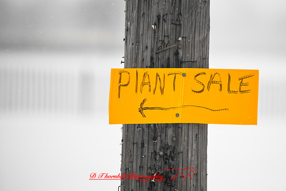 assorted_images-2009_018.jpg