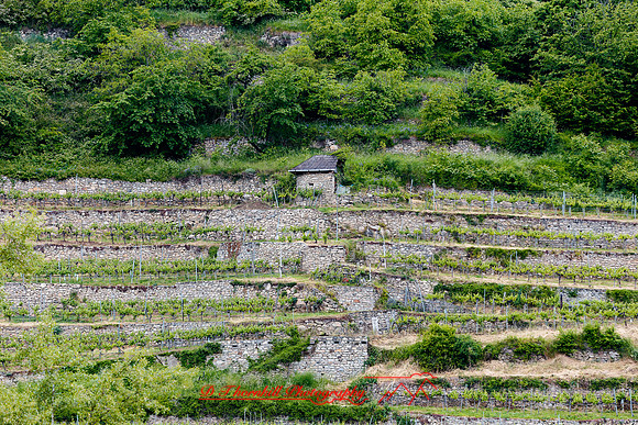 2025 - river cruise - 322_DxO