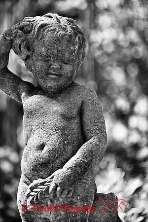 florida-images-2011-35-nas