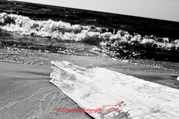 tawas-state-park-infrared-2008_003