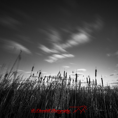 shadow-light-project-bay-city-state-park-2014-011