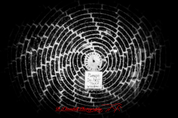 florida - pinhole - 2022 - 018