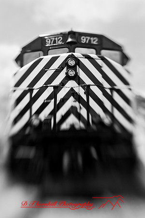 owosso_train-fest-2009_26-nik.jpg