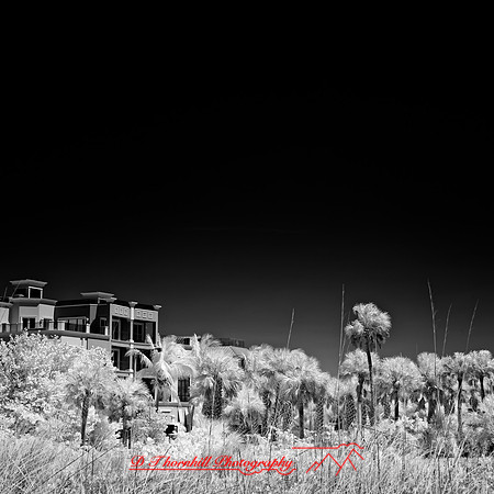 FL-March 2018-166_DxO