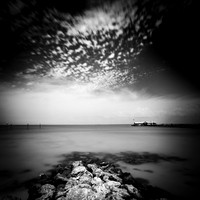 florida-march-2016-090-nas