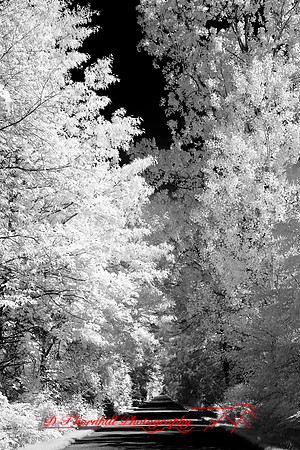 infrared-2008_094
