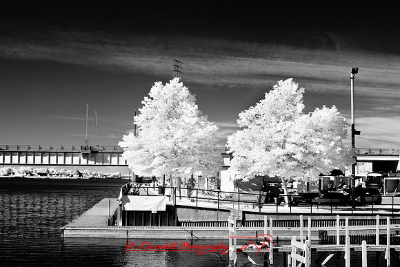 river_roar-inrared-2008_15.jpg