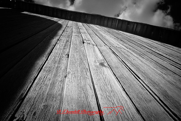 infrared-2009-the_farm_08.jpg