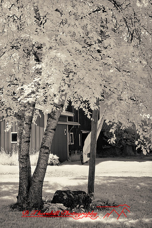 infrared_images-2012-001-nas