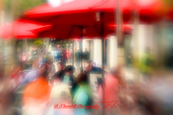 florida-2010-people_05