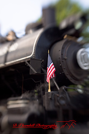 owosso_train-fest-2009_29.jpg
