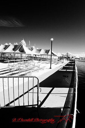river_roar-inrared-2008_17.jpg