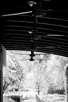 florida-infrared-images-2011-19