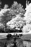 dow-gardens-infrared-2011-12-nas