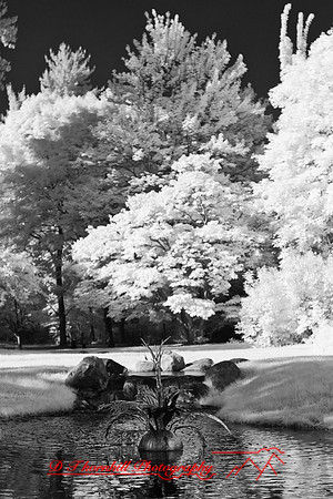 dow-gardens-infrared-2011-12-nas