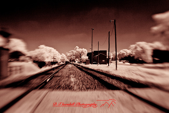 infrared-2009-random_45-nik.jpg