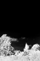 tawas-state-park-infrared-2008_009