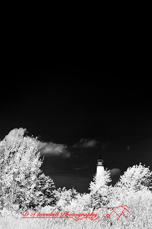 tawas-state-park-infrared-2008_009
