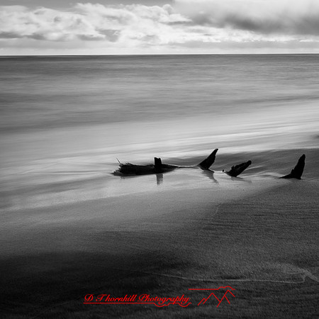 shadow-light-project-tawas-state-park-2014-015