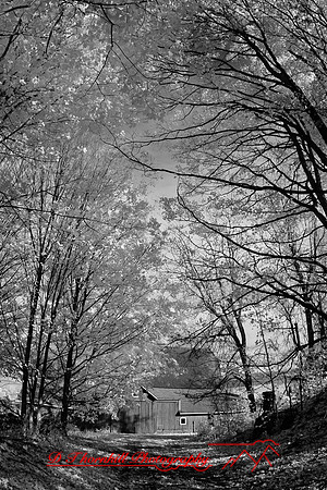 infrared_images-2012-025