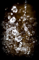 assorted_images-2011-159