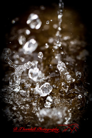 assorted_images-2011-159