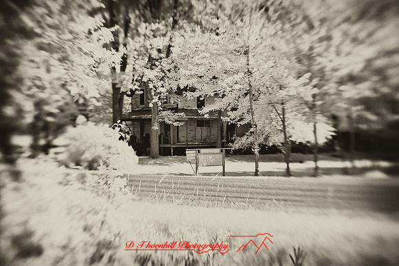 infrared-2009-random_25-nik.jpg
