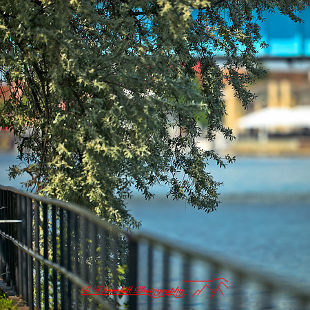 bay_city_images-2013-007