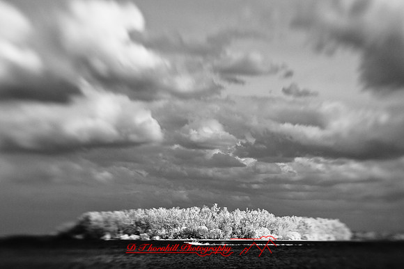 florida-2009-images-infrared_26.jpg