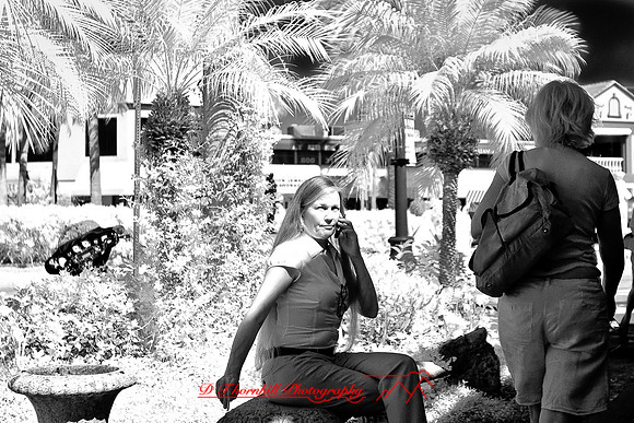 florida-2008-people-infrared_25-nik.jpg