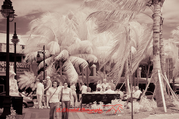 florida-2008-people-infrared_03.jpg