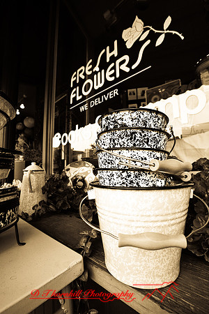 assorted_images-2007-58