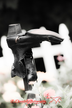 assorted_images-2011-149
