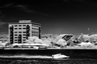 river-roar-2011-infrared-09